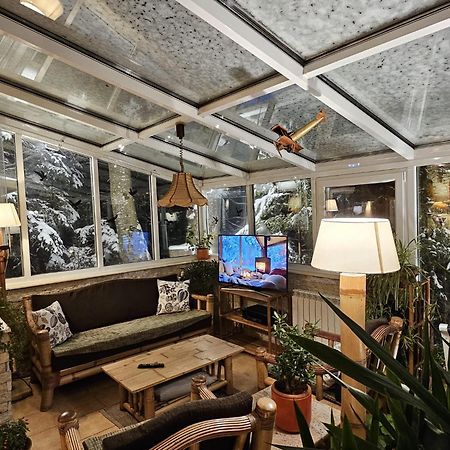 Boutique Hotel Forest Retreat (Adults Only) Buşteni Екстериор снимка