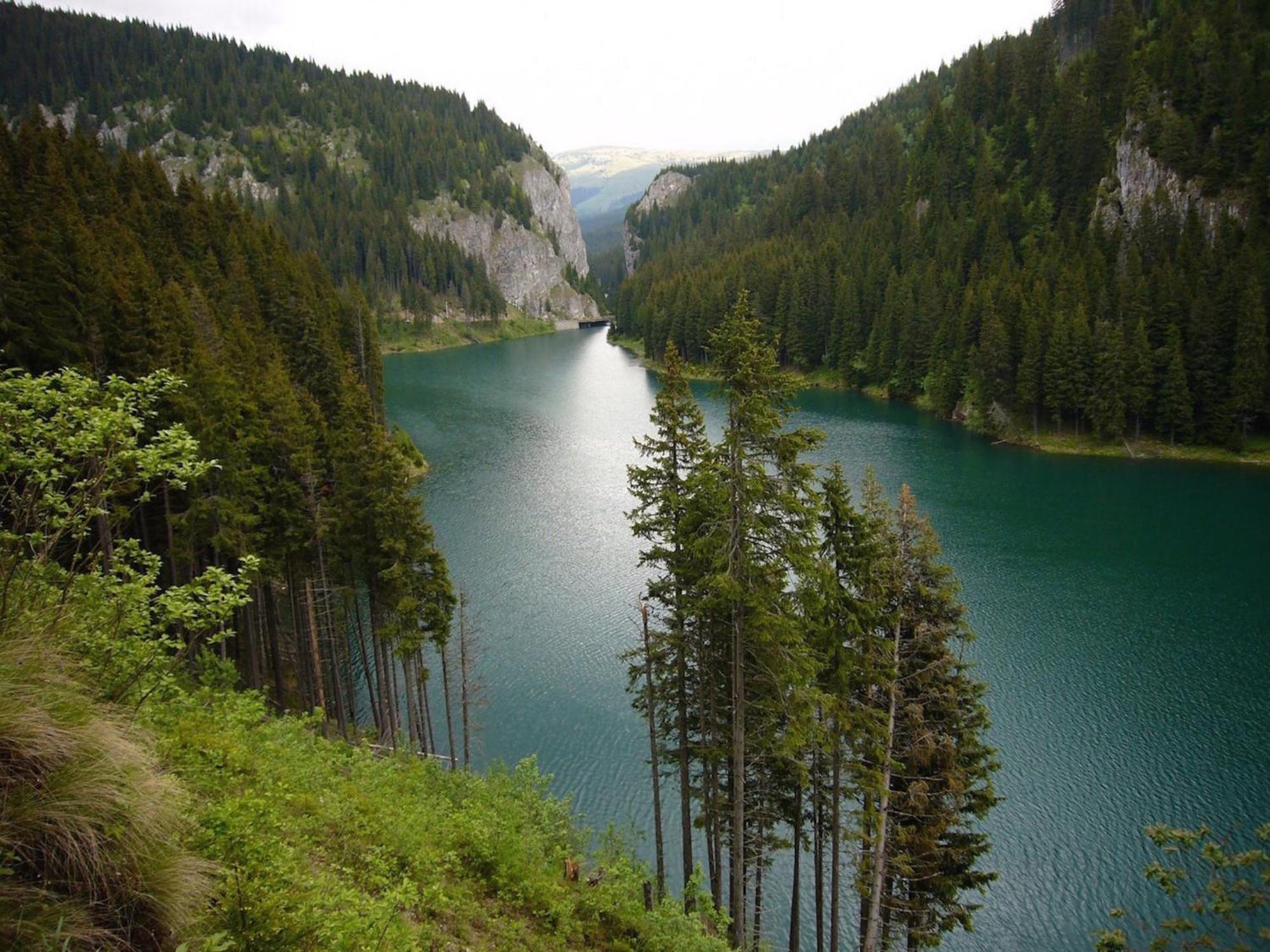 Boutique Hotel Forest Retreat (Adults Only) Buşteni Стая снимка