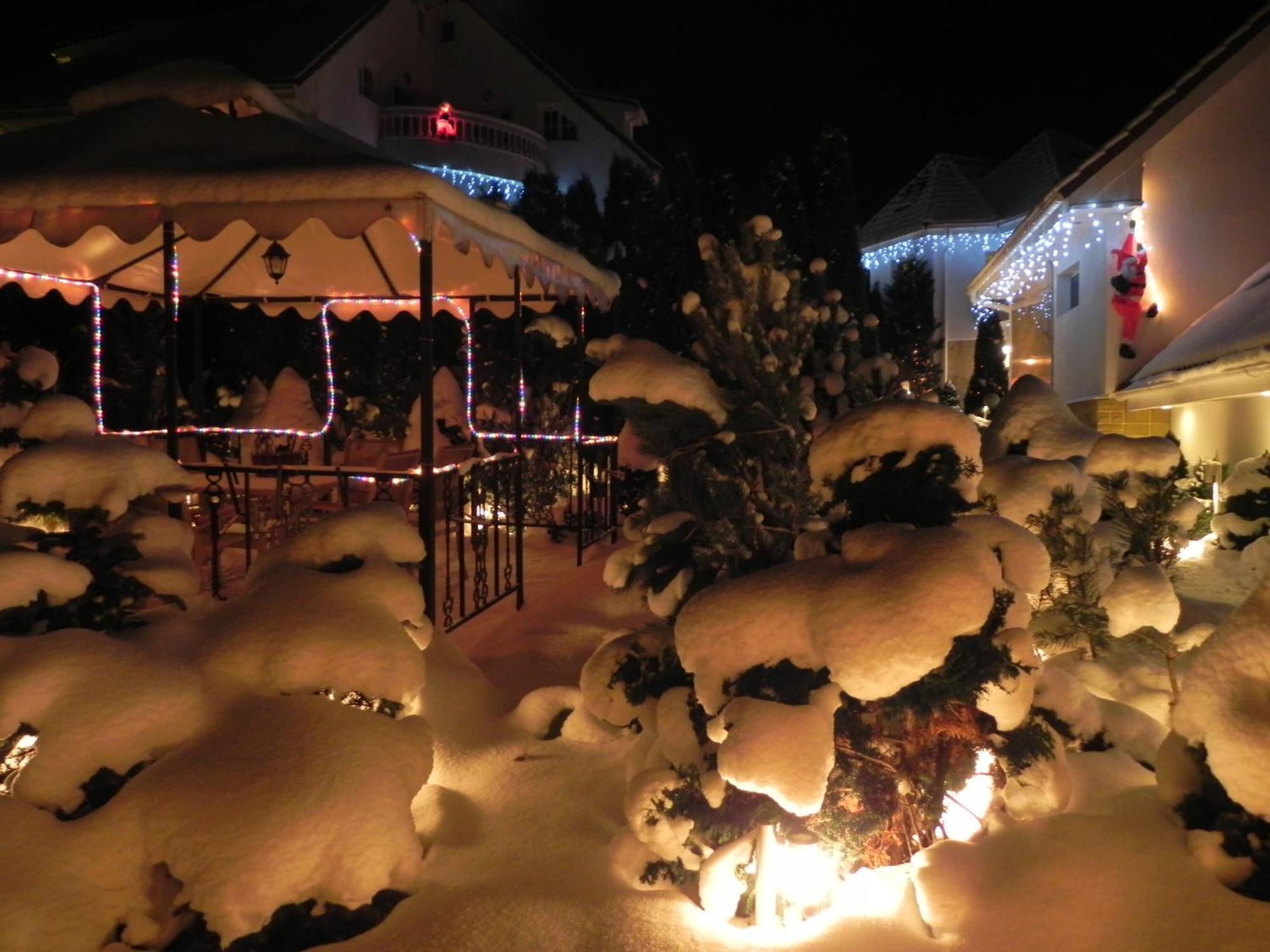 Boutique Hotel Forest Retreat (Adults Only) Buşteni Екстериор снимка