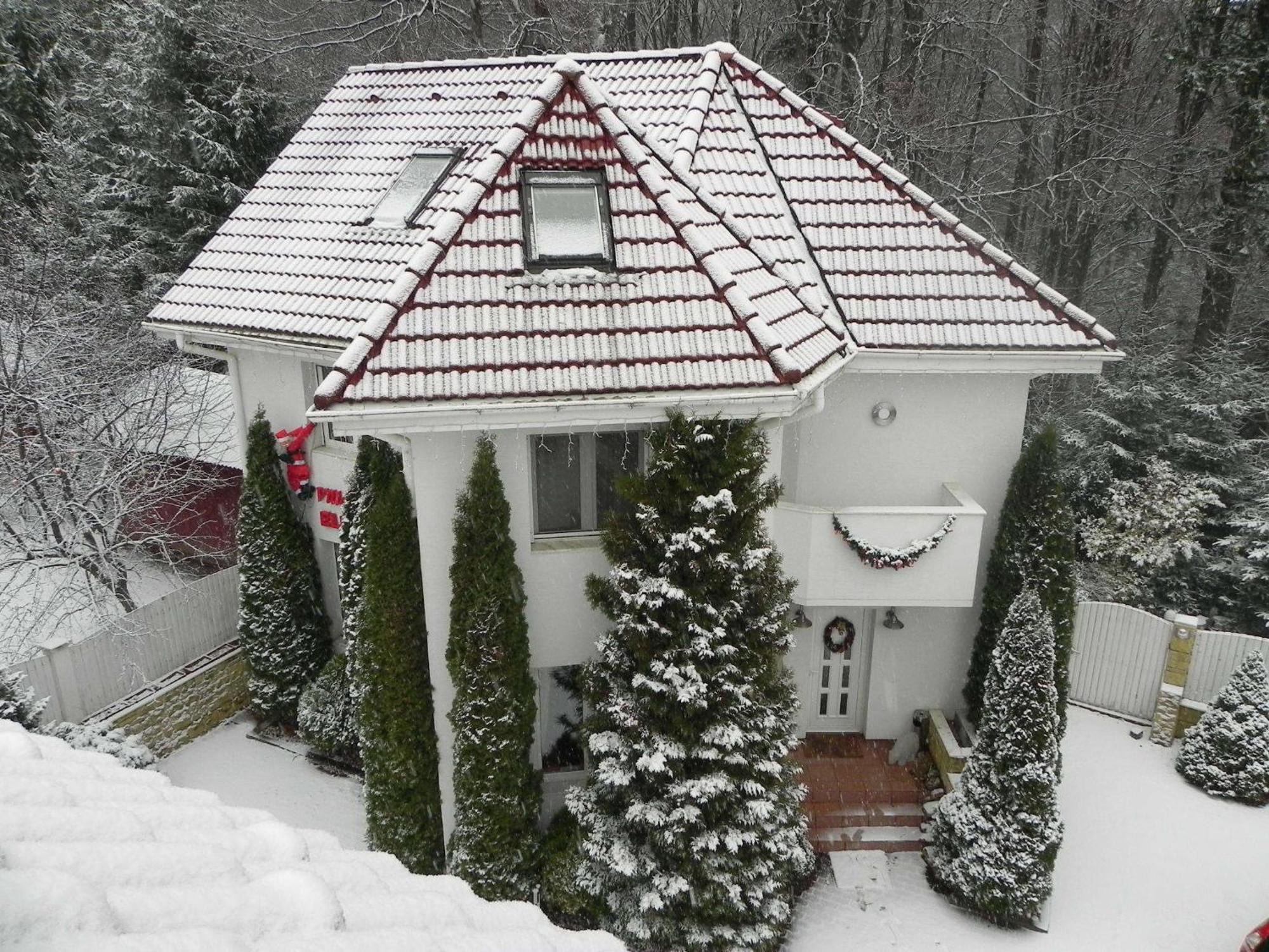 Boutique Hotel Forest Retreat (Adults Only) Buşteni Екстериор снимка