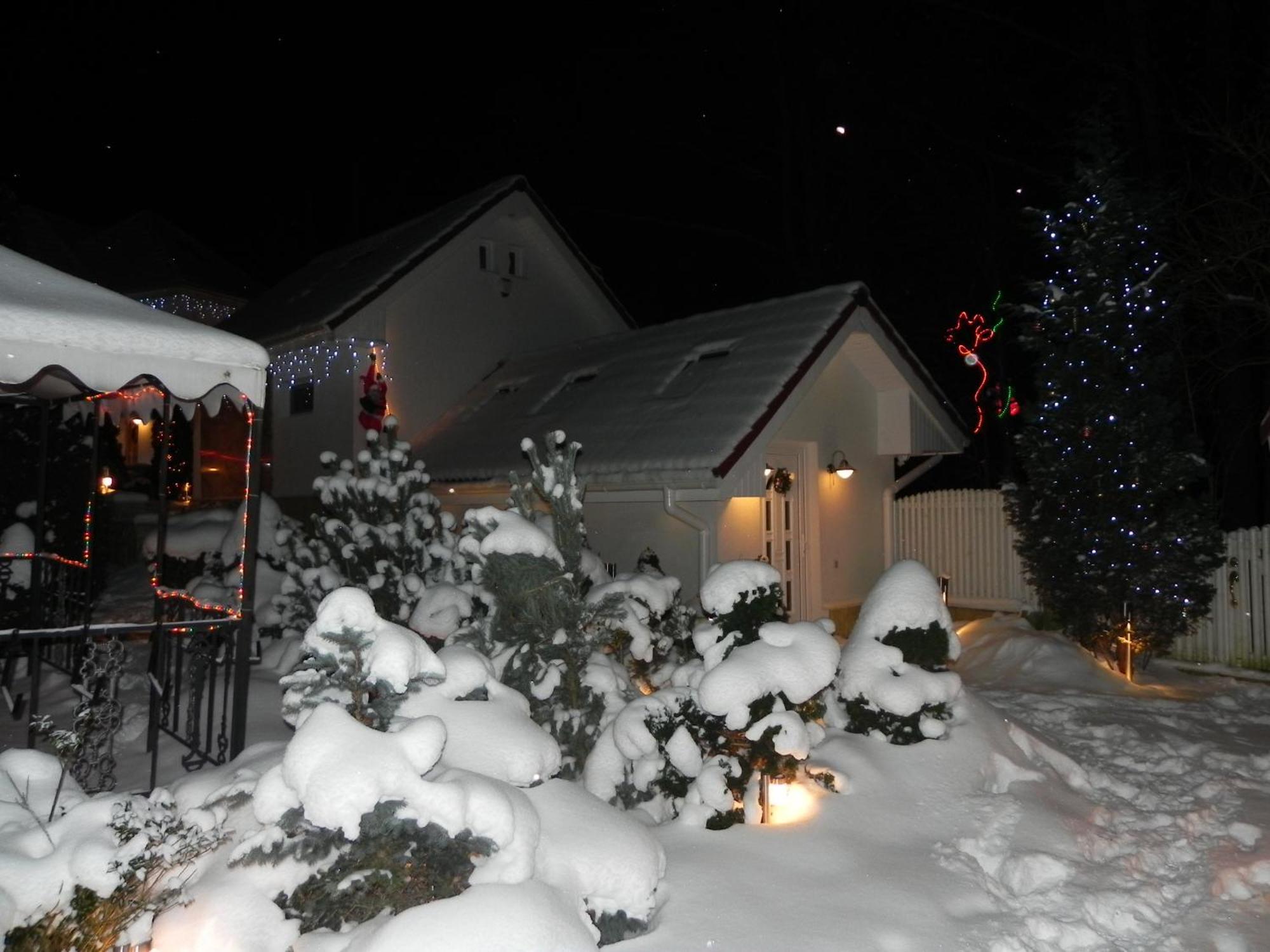 Boutique Hotel Forest Retreat (Adults Only) Buşteni Екстериор снимка