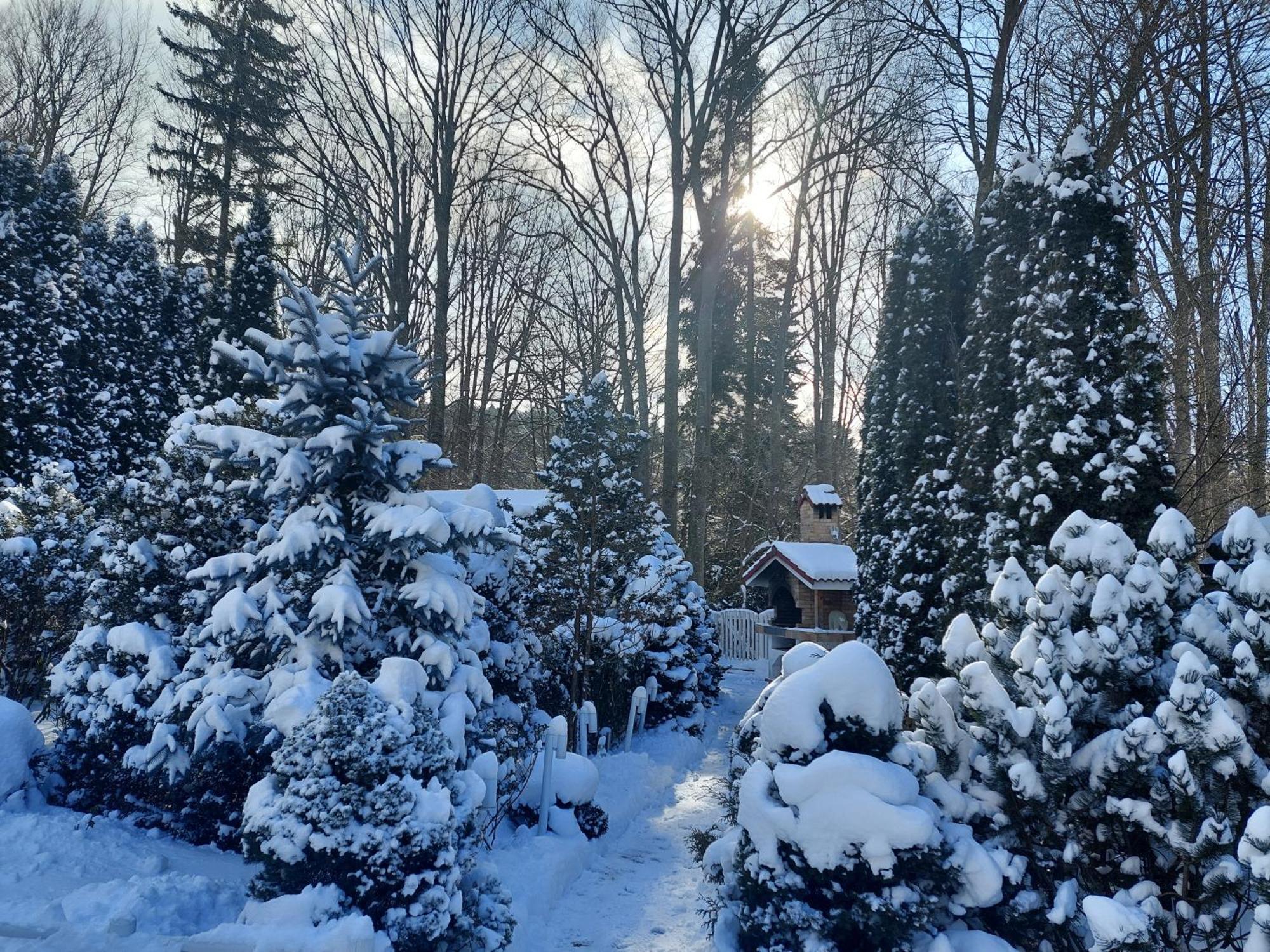 Boutique Hotel Forest Retreat (Adults Only) Buşteni Екстериор снимка