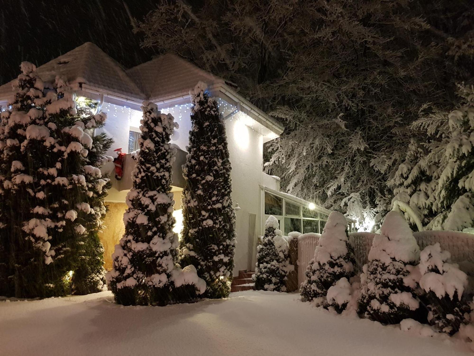 Boutique Hotel Forest Retreat (Adults Only) Buşteni Екстериор снимка