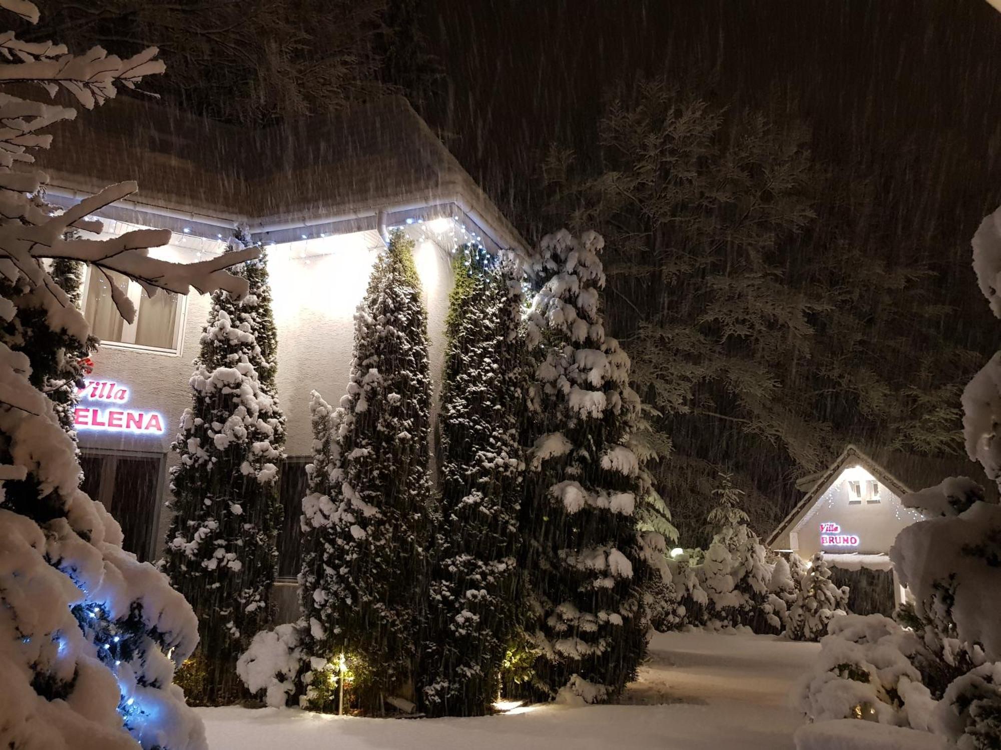 Boutique Hotel Forest Retreat (Adults Only) Buşteni Екстериор снимка