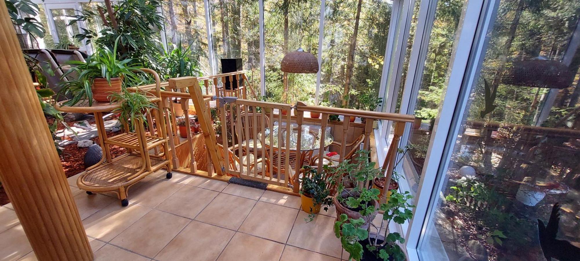 Boutique Hotel Forest Retreat (Adults Only) Buşteni Екстериор снимка