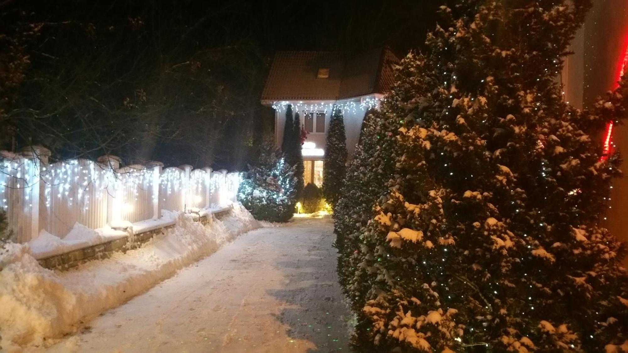 Boutique Hotel Forest Retreat (Adults Only) Buşteni Екстериор снимка