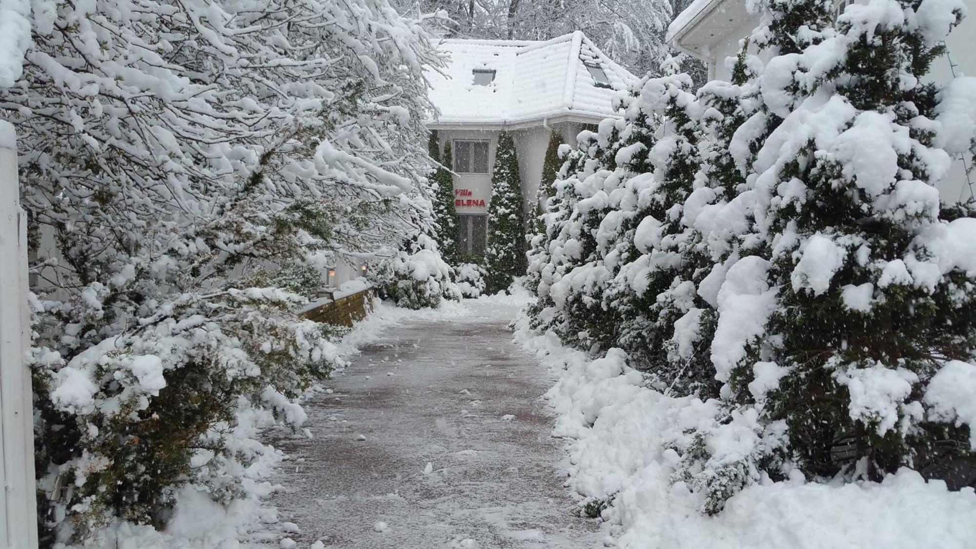 Boutique Hotel Forest Retreat (Adults Only) Buşteni Екстериор снимка
