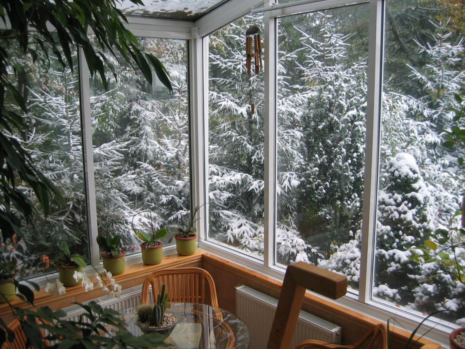 Boutique Hotel Forest Retreat (Adults Only) Buşteni Екстериор снимка