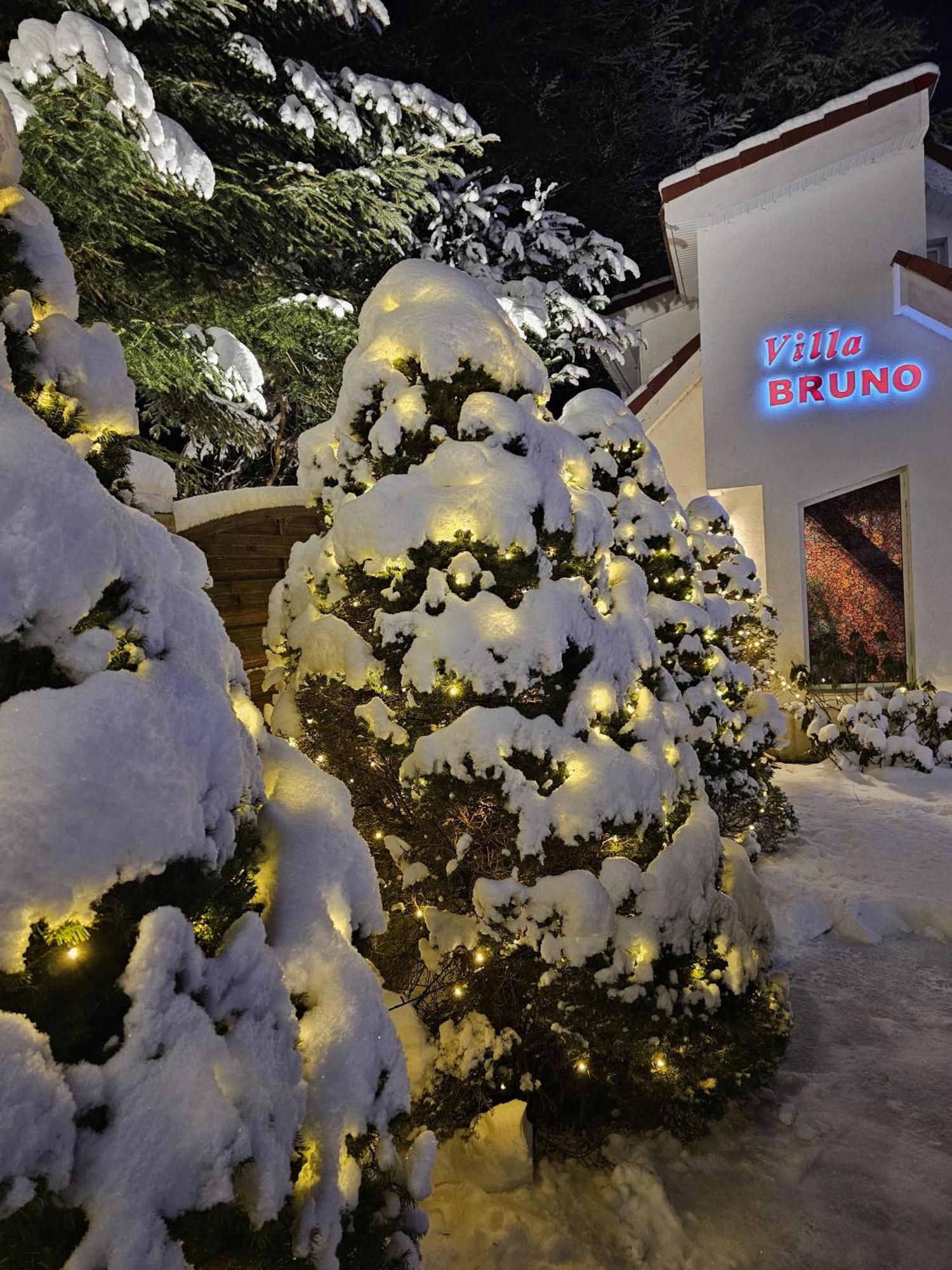 Boutique Hotel Forest Retreat (Adults Only) Buşteni Екстериор снимка