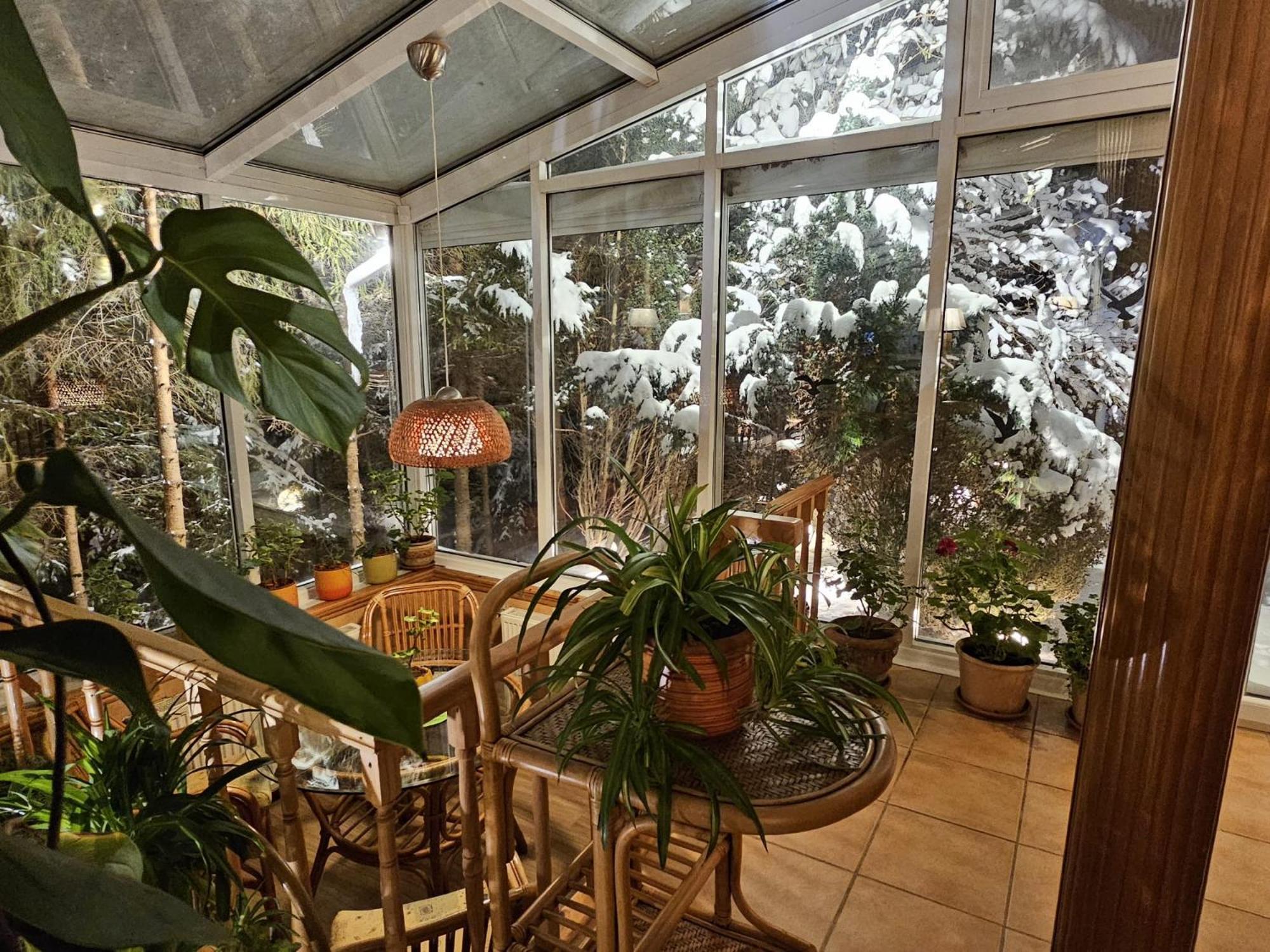 Boutique Hotel Forest Retreat (Adults Only) Buşteni Екстериор снимка