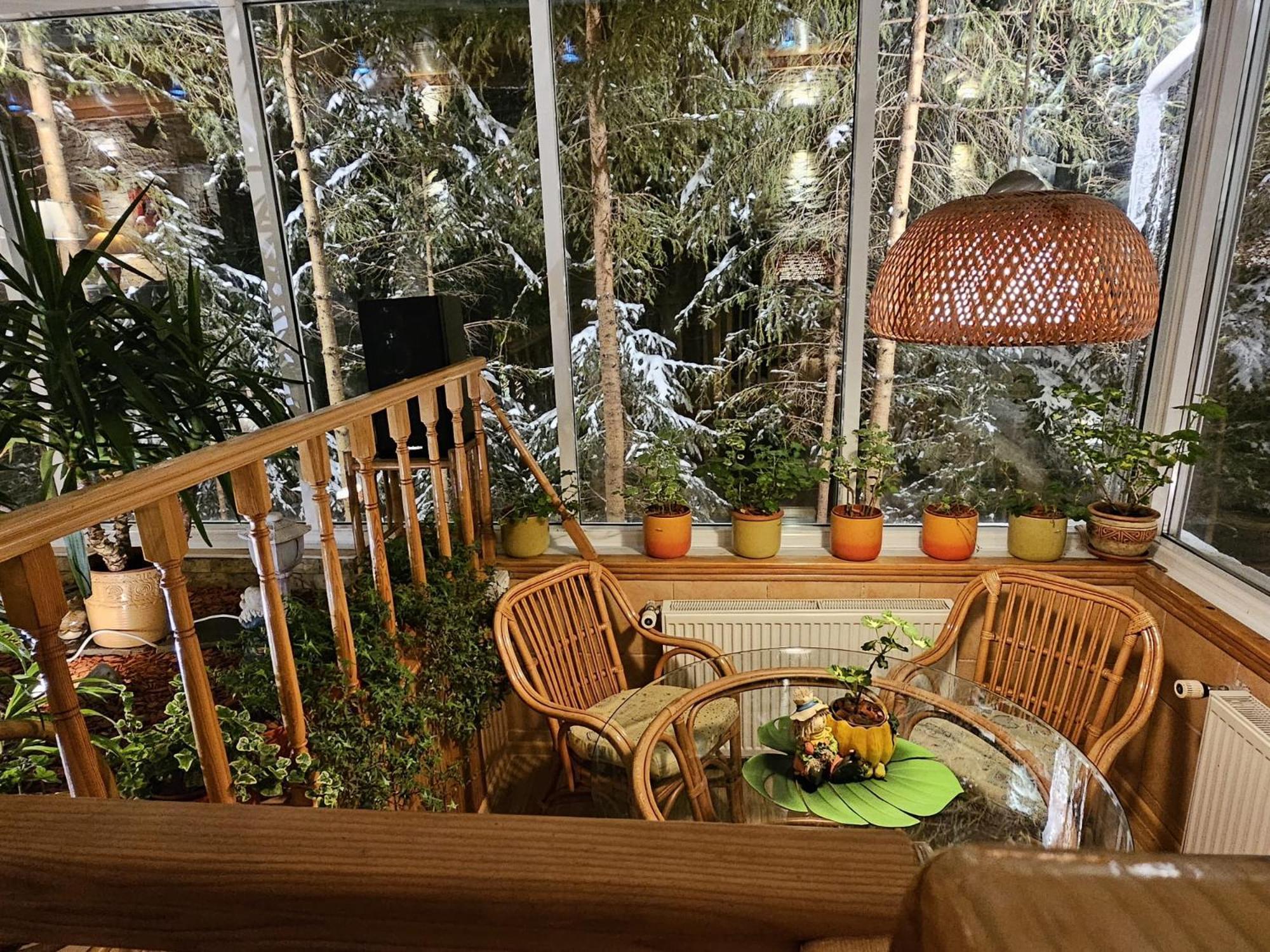 Boutique Hotel Forest Retreat (Adults Only) Buşteni Екстериор снимка